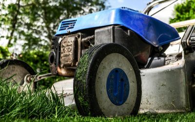 The Benefits Of Grass Cutting Services